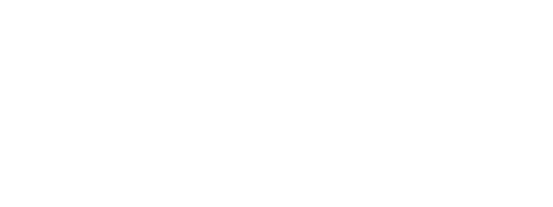 PYE Logo
